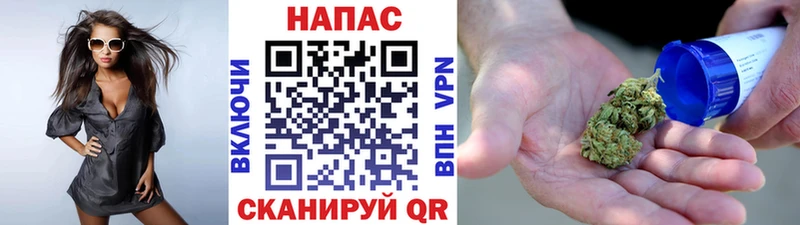 Конопля гибрид  Буй 